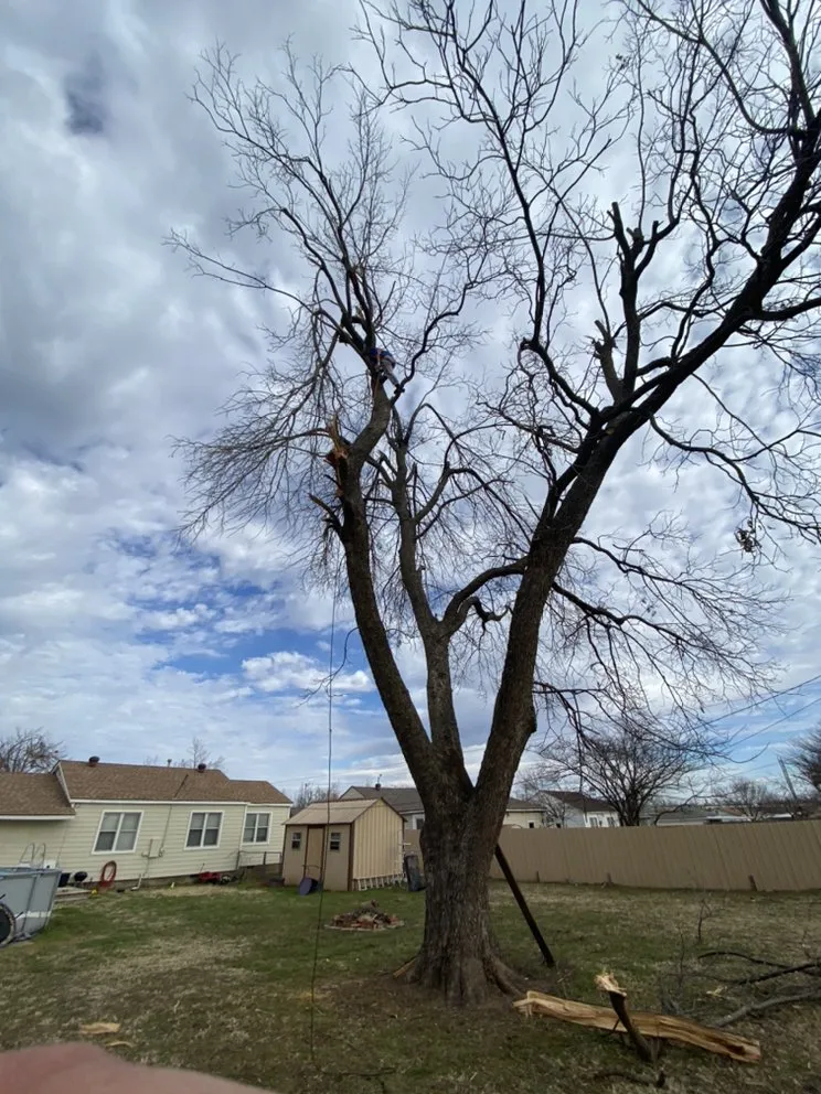 Professional outdoor landscaping for residential properties in Del City, OK by Dominicks Landscapes