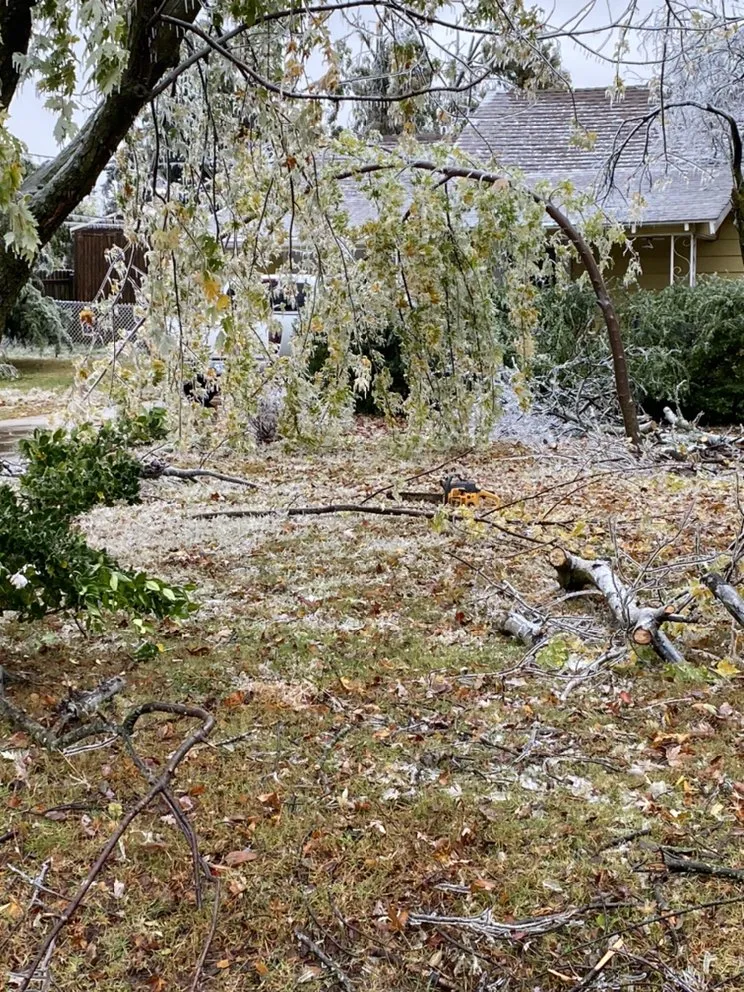 Professional garden landscaping experts serving Del City, OK - Dominicks Landscapes