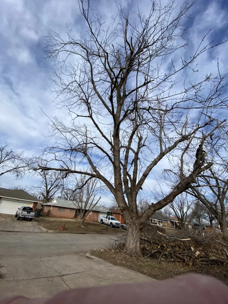 Top-rated landscape installation for residential properties across Del City, OK - Dominicks Landscapes