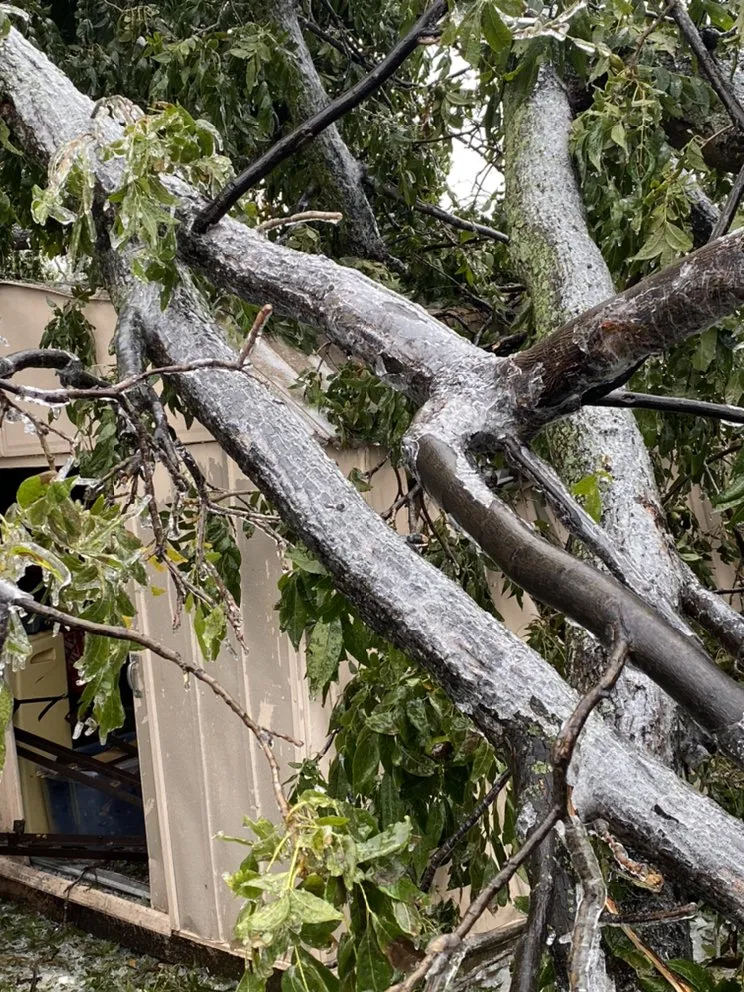 Local yard cleanup service in Del City, OK - Dominicks Landscapes