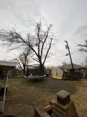 Dominicks Landscapes