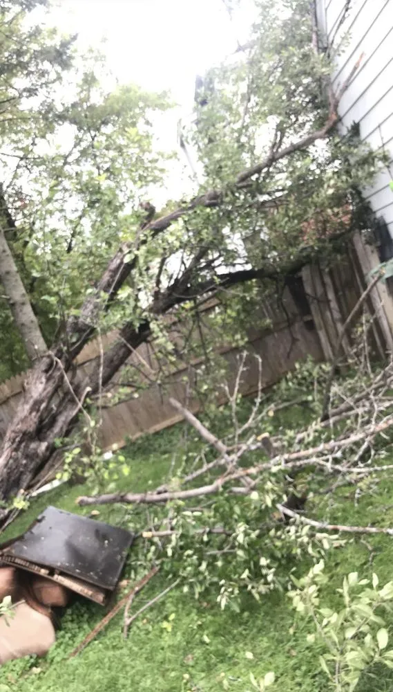 Reliable yard maintenance in Wauwatosa, WI by Dominic’s Garden and Tree Services