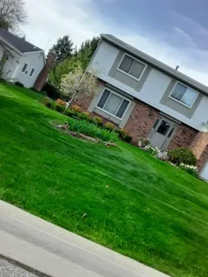 Dominic’s Lawn Care & Maintenance Logo