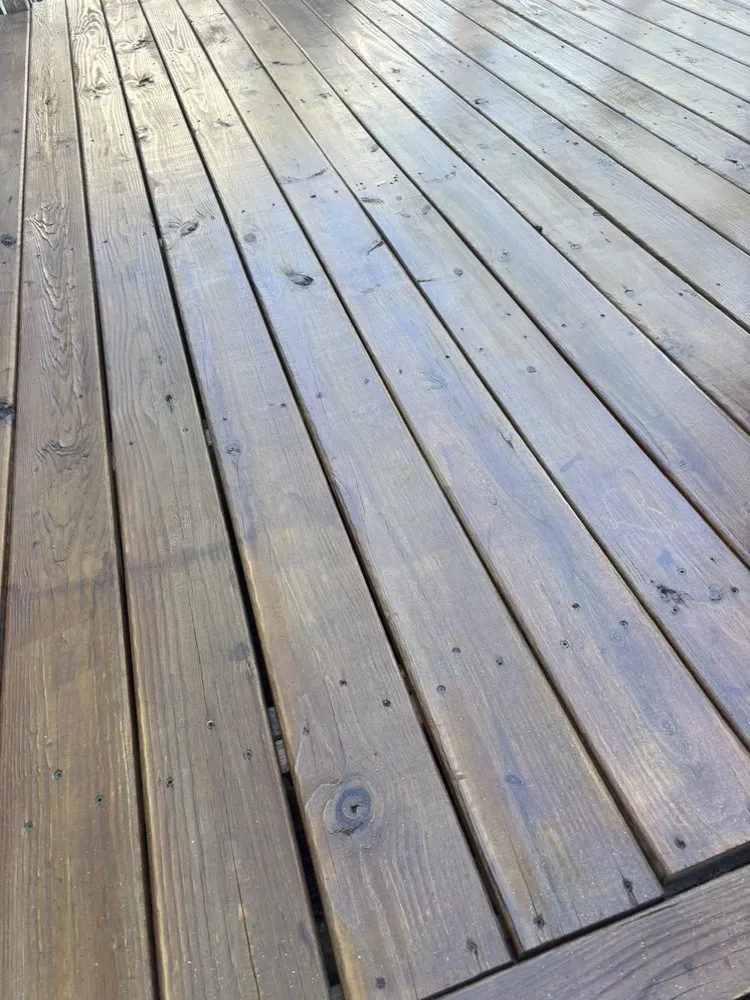 Custom landscape installation experts serving Ridley Township, PA - Dominic’s Property Maintenance