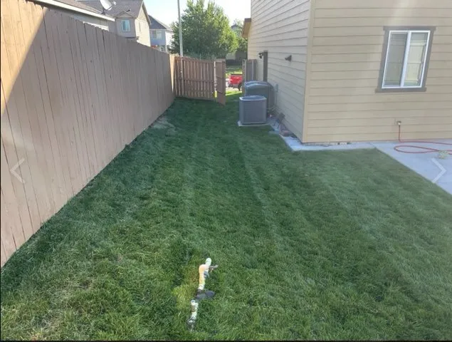 Local yard maintenance for year-round maintenance across Grandview, WA - Dominion Landscape Professionals