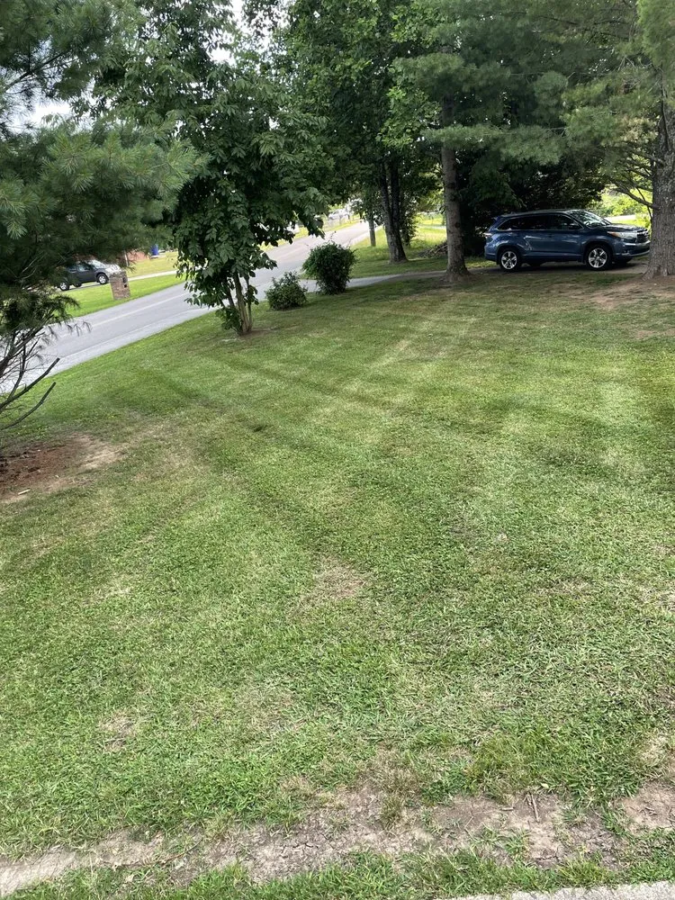 Custom outdoor landscaping for year-round maintenance across Clinton, TN - Dominion Lawncare