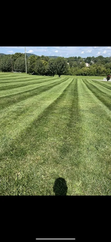 Professional landscape installation in Clinton, TN - Dominion Lawncare