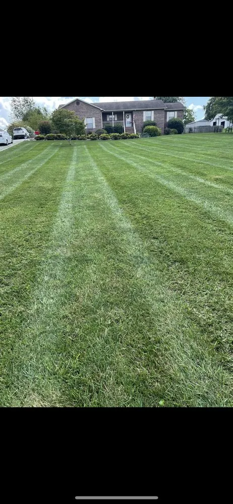 Local yard cleanup service experts serving Clinton, TN - Dominion Lawncare