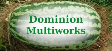Affordable residential landscaping in Fountain Inn, SC - Dominion Multiworks