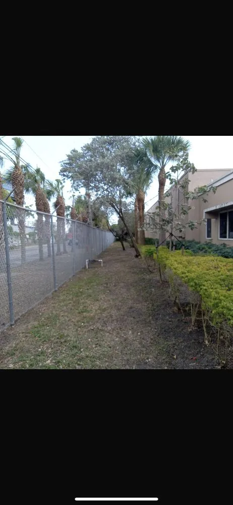 Professional lawn care service for outdoor upgrades in Pompano Beach, FL by Dominique Lawn Service