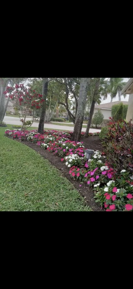 Top-rated yard maintenance experts serving Pompano Beach, FL - Dominique Lawn Service