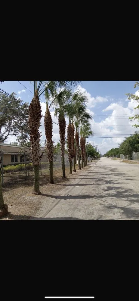 Affordable outdoor landscaping in Pompano Beach, FL - Dominique Lawn Service