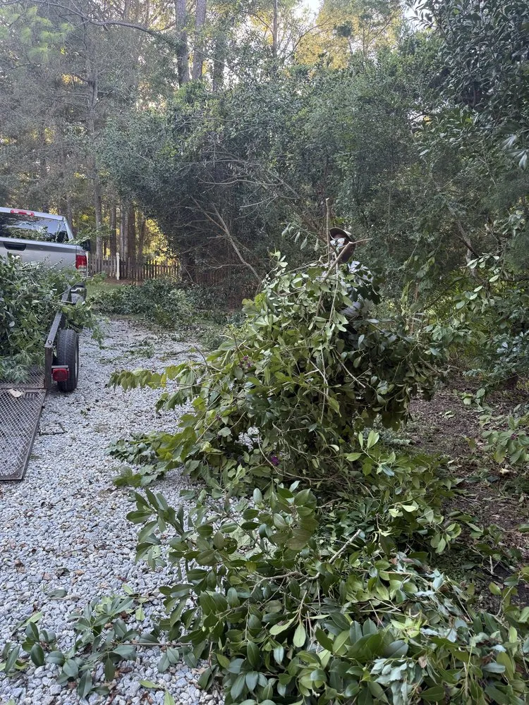 Local landscape installation experts serving Daphne, AL - Dominos Lawn & Landscape