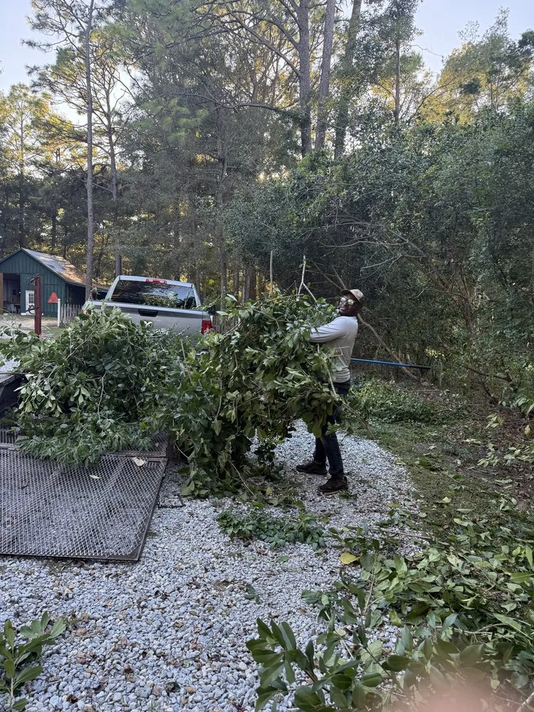 Custom landscape installation experts serving Daphne, AL - Dominos Lawn & Landscape