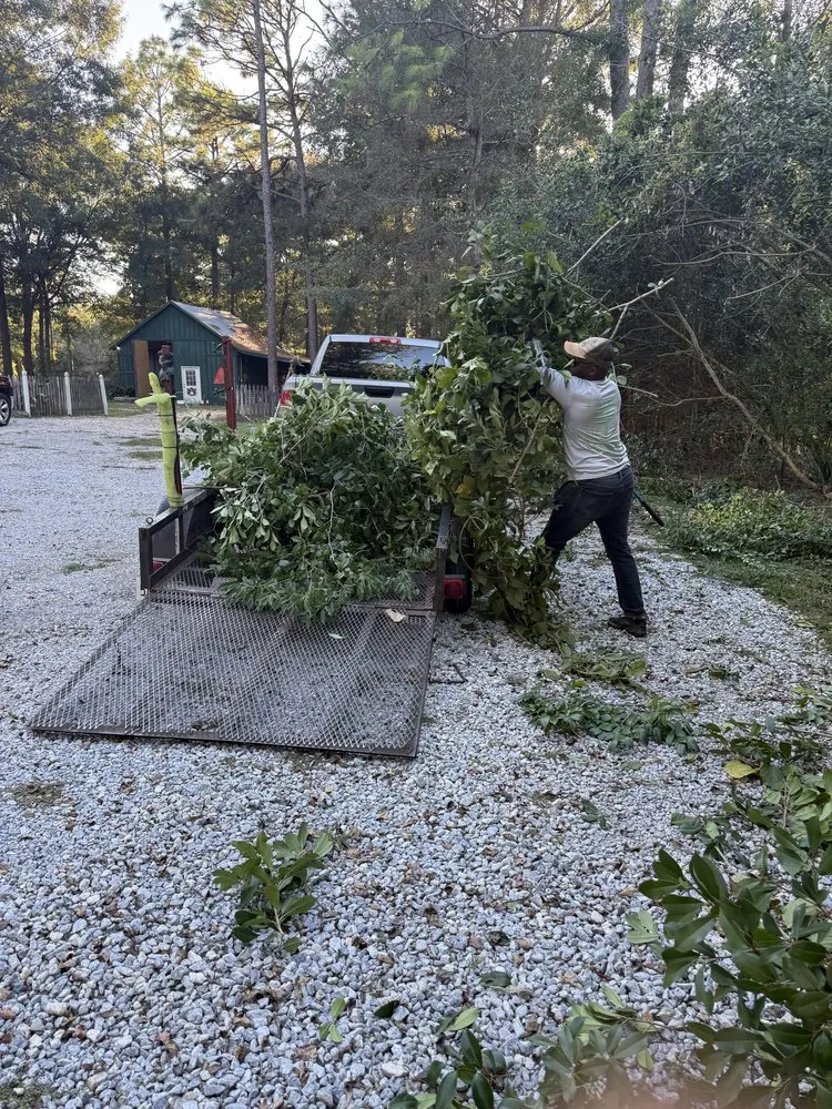 Reliable residential landscaping for year-round maintenance across Daphne, AL - Dominos Lawn & Landscape