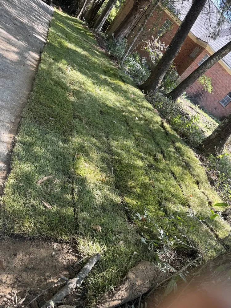 Local lawn mowing service with custom design in Daphne, AL by Dominos Lawn & Landscape