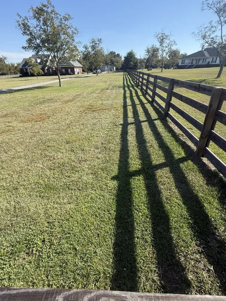 Trusted landscaping services for beautiful yards across Daphne, AL - Dominos Lawn & Landscape