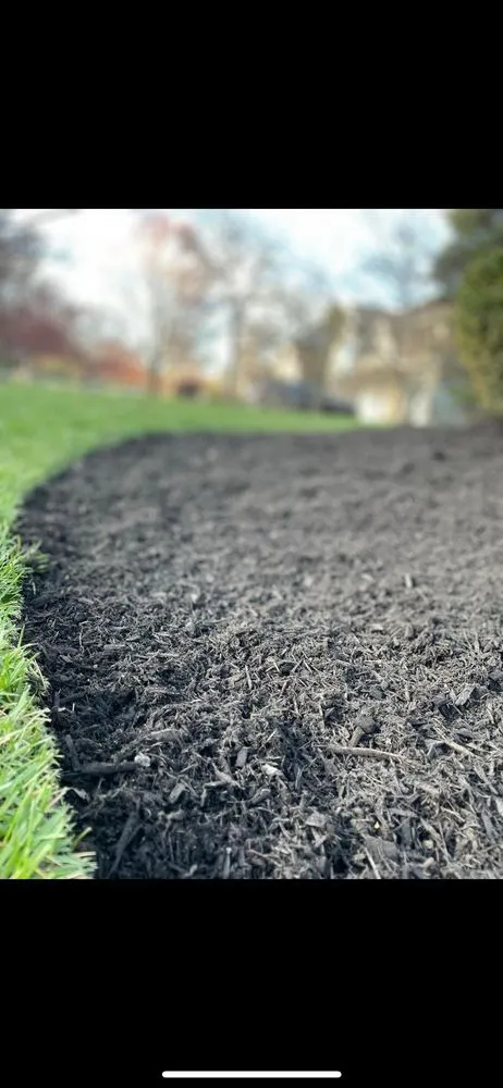 Reliable lawn care service experts serving Mentor, OH - Domonics Lawn Service