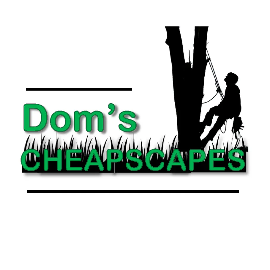 Reliable outdoor landscaping in Virginia Beach, VA by Dom's Cheapscapes