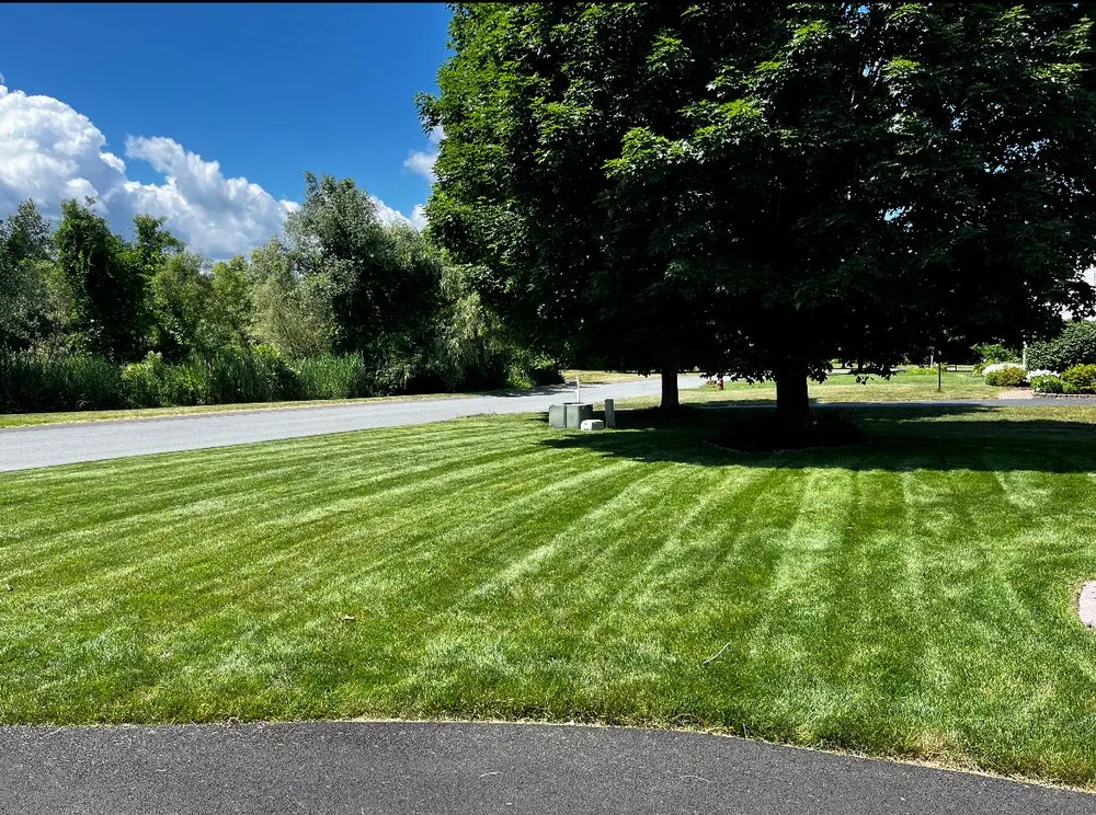 Top-rated landscape installation for homes across Clifton Park, NY - Dom's Exclusive Lawn And Outdoor Services