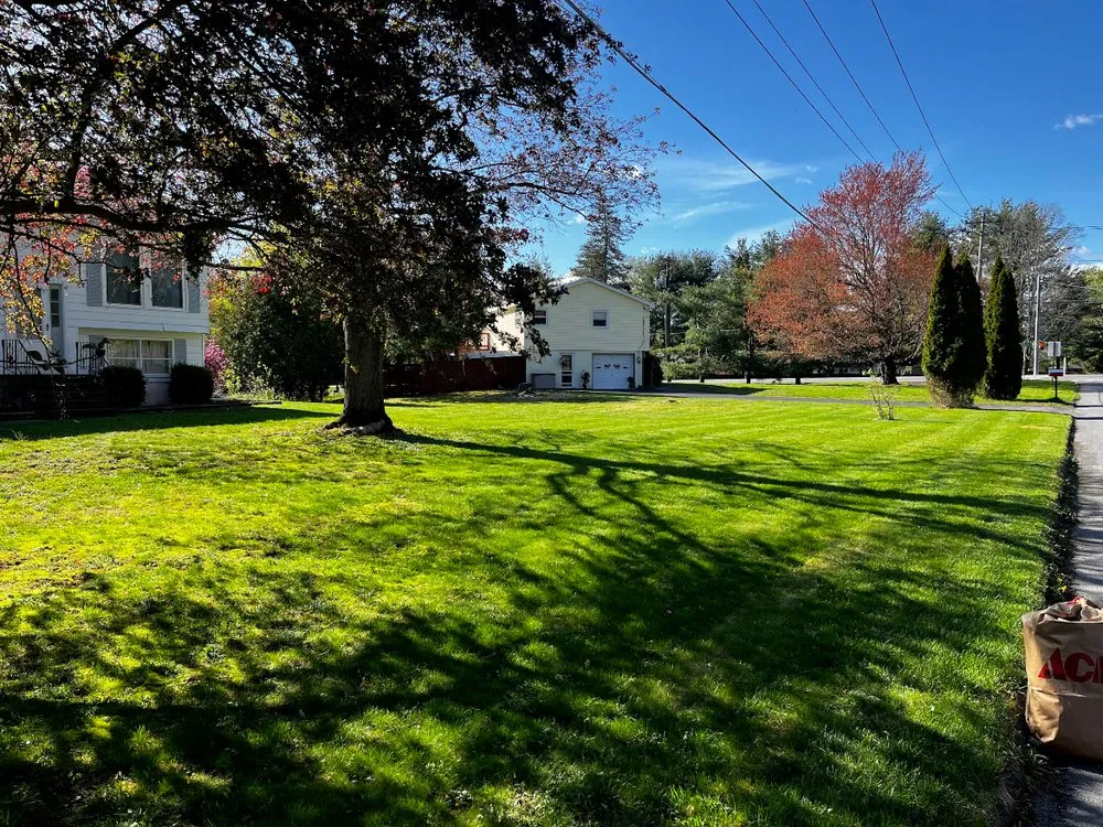 Affordable outdoor landscaping experts serving Clifton Park, NY - Dom's Exclusive Lawn And Outdoor Services