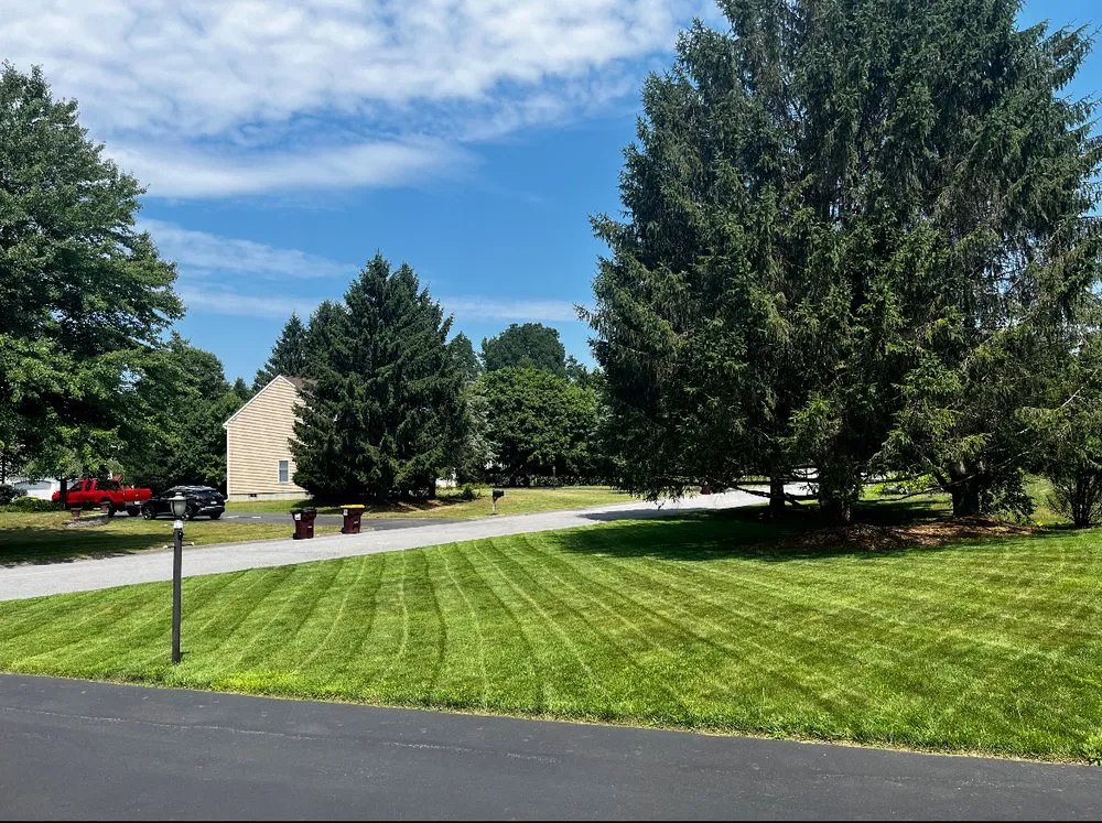 Expert lawn care service experts serving Clifton Park, NY - Dom's Exclusive Lawn And Outdoor Services