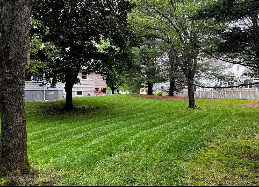 Trusted landscaping services in Clifton Park, NY by Dom's Exclusive Lawn And Outdoor Services