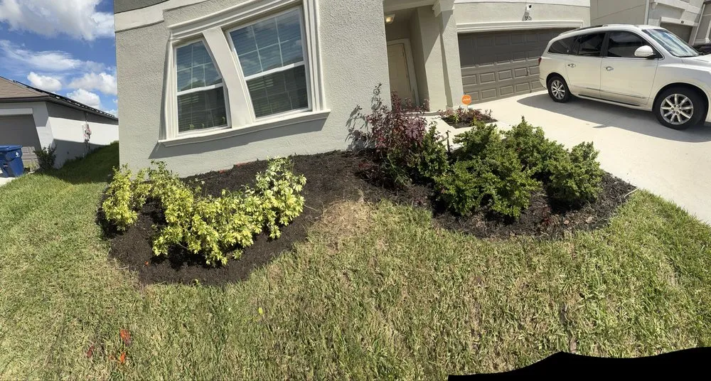 Expert yard maintenance experts serving Tampa Bay, FL - Doms Hardscapes