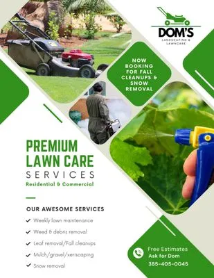 Dom's Landscaping & Lawn Care