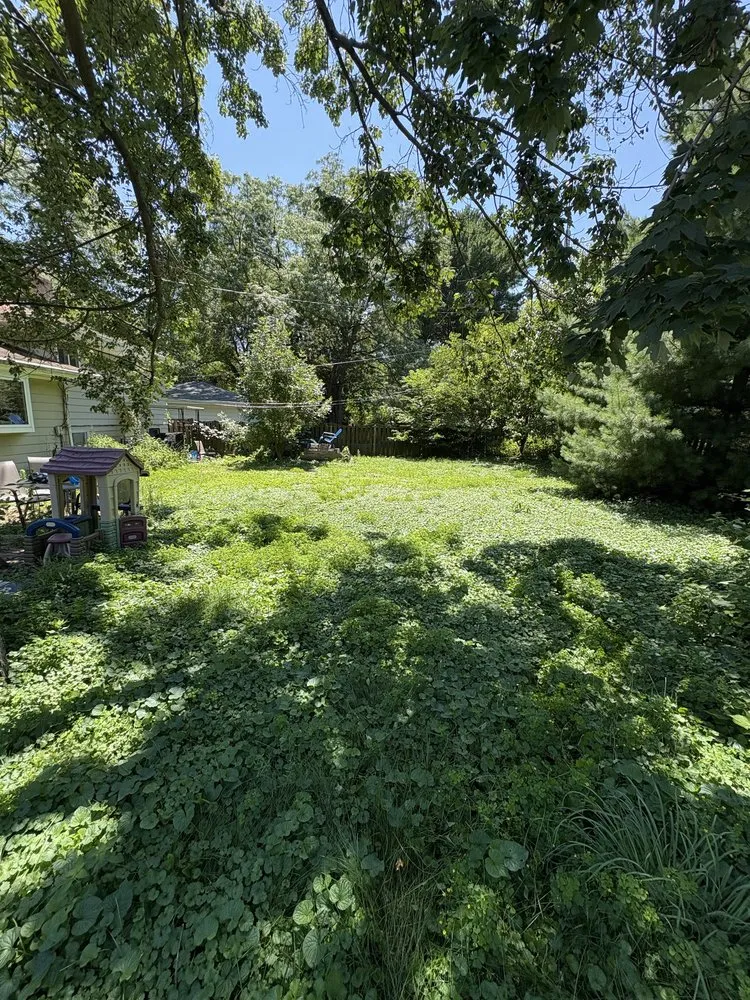 Custom yard cleanup service in Madison, WI - Dom's Landscaping and Snow Removal