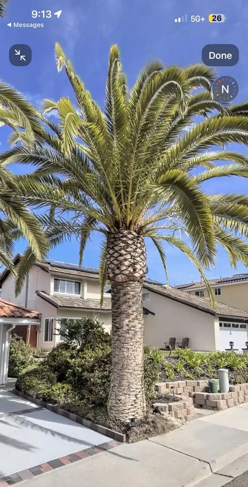 Affordable landscaping services experts serving Escondido, CA - Dom’s Landscaping