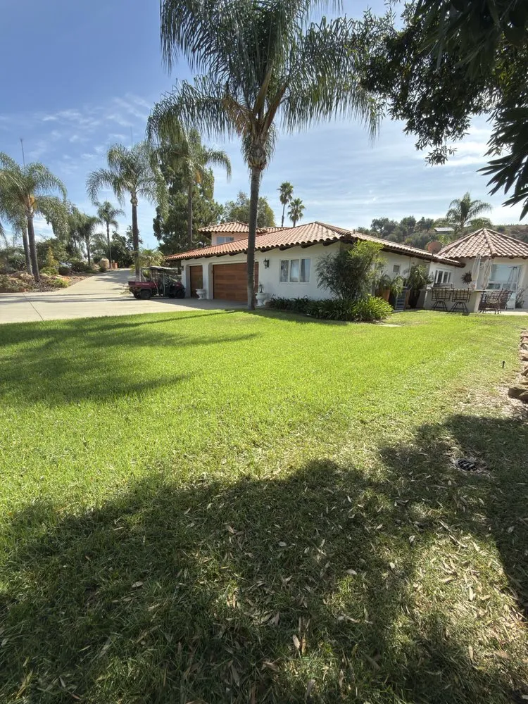 Professional yard maintenance in Escondido, CA by Dom’s Landscaping