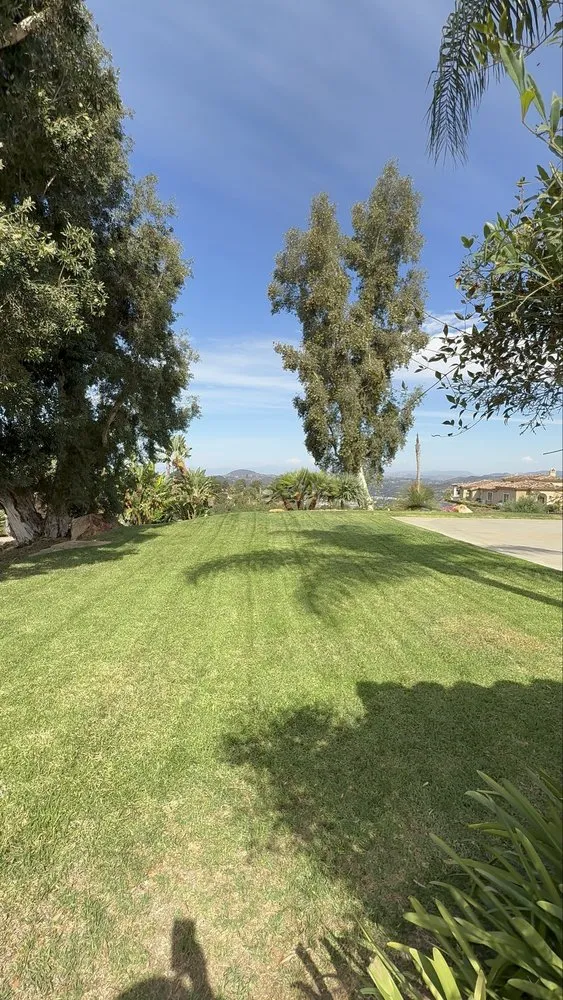 Affordable landscape installation in Escondido, CA by Dom’s Landscaping