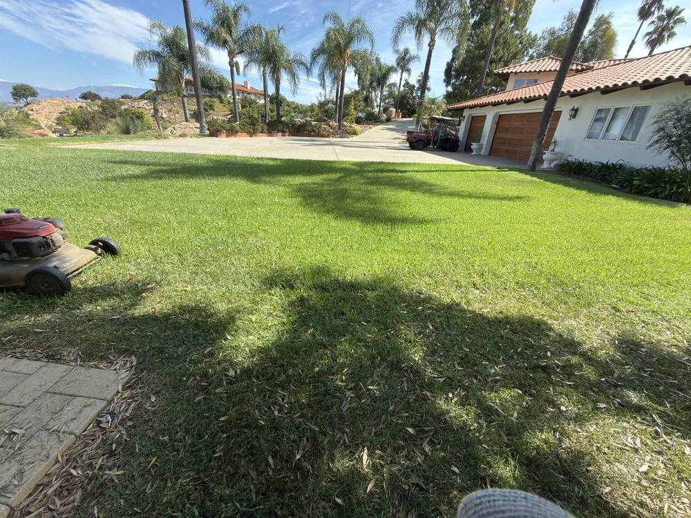 Custom lawn care service in Escondido, CA - Dom’s Landscaping