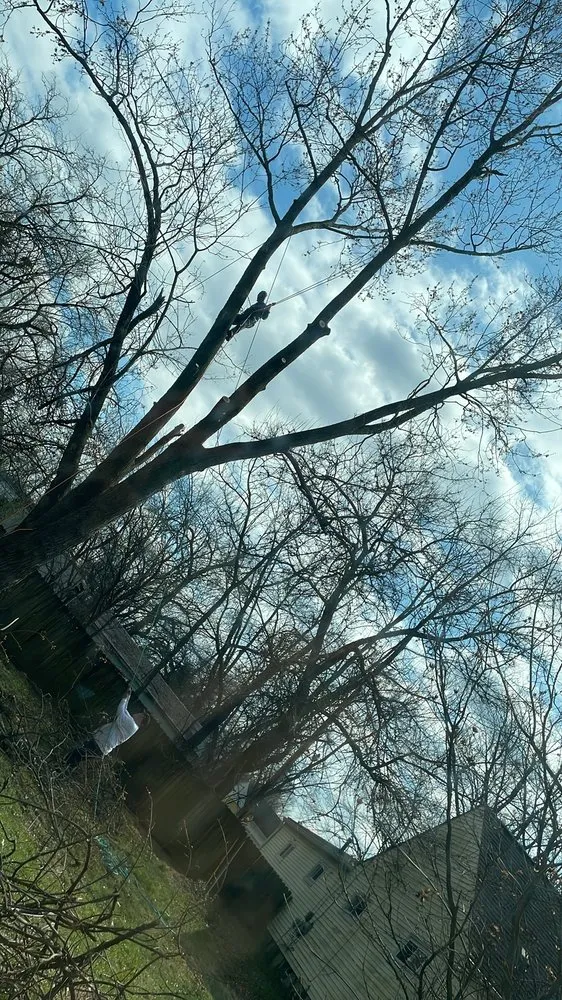 Custom lawn care service experts serving Springfield, OH - Doms Lawn & Property Maintenance