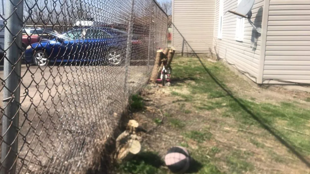 Expert yard maintenance in Springfield, OH - Doms Lawn & Property Maintenance