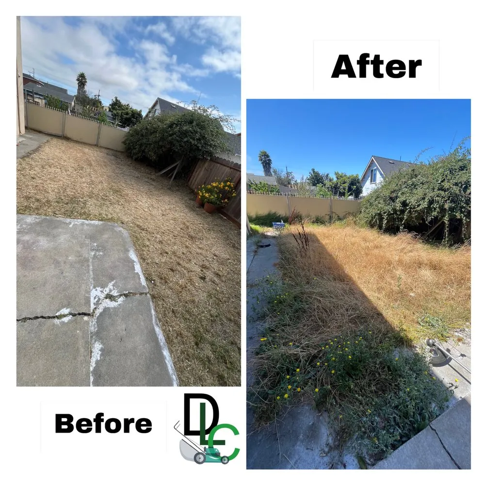 Professional lawn care service for residential properties across San Pablo, CA - Dom's Lawn Care