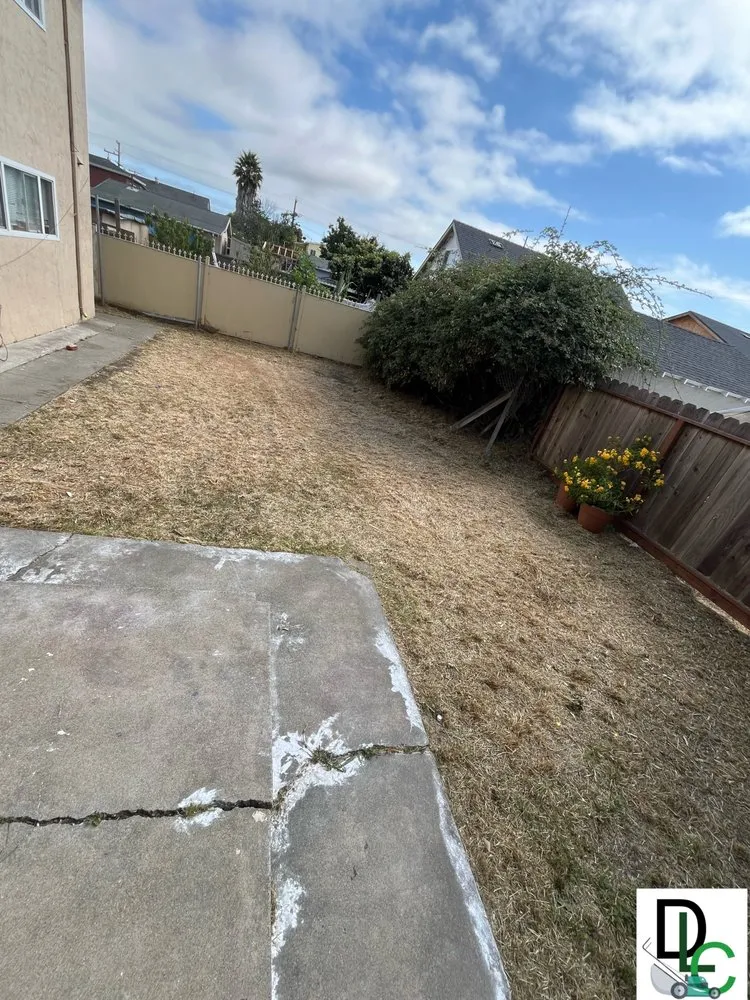 Local landscape installation experts serving San Pablo, CA - Dom's Lawn Care