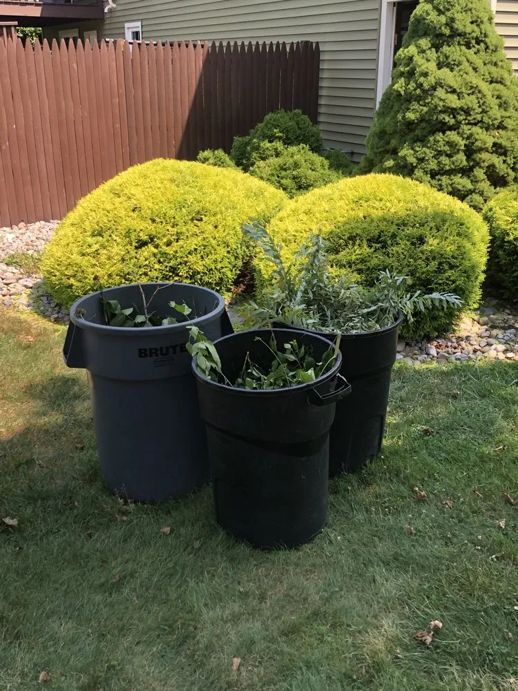 Local residential landscaping experts serving Syracuse, NY - Doms Lawncare
