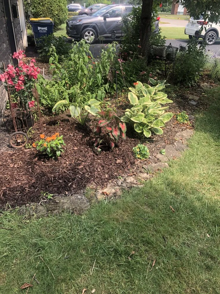 Top-rated outdoor landscaping experts serving Syracuse, NY - Doms Lawncare