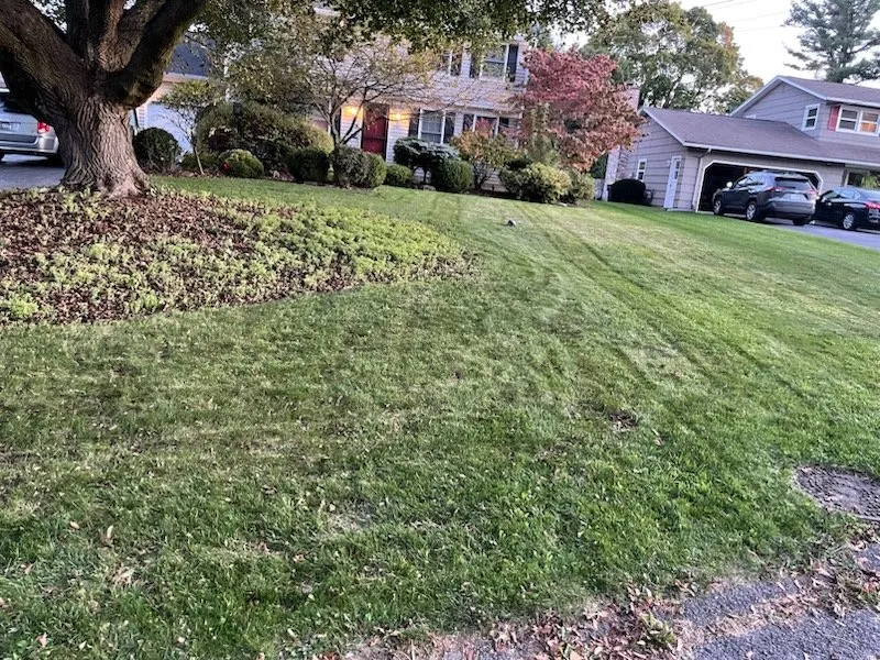 Reliable outdoor landscaping in Syracuse, NY - Doms Lawncare
