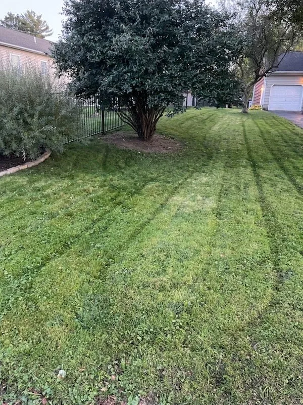 Local yard maintenance with custom design in Syracuse, NY by Doms Lawncare
