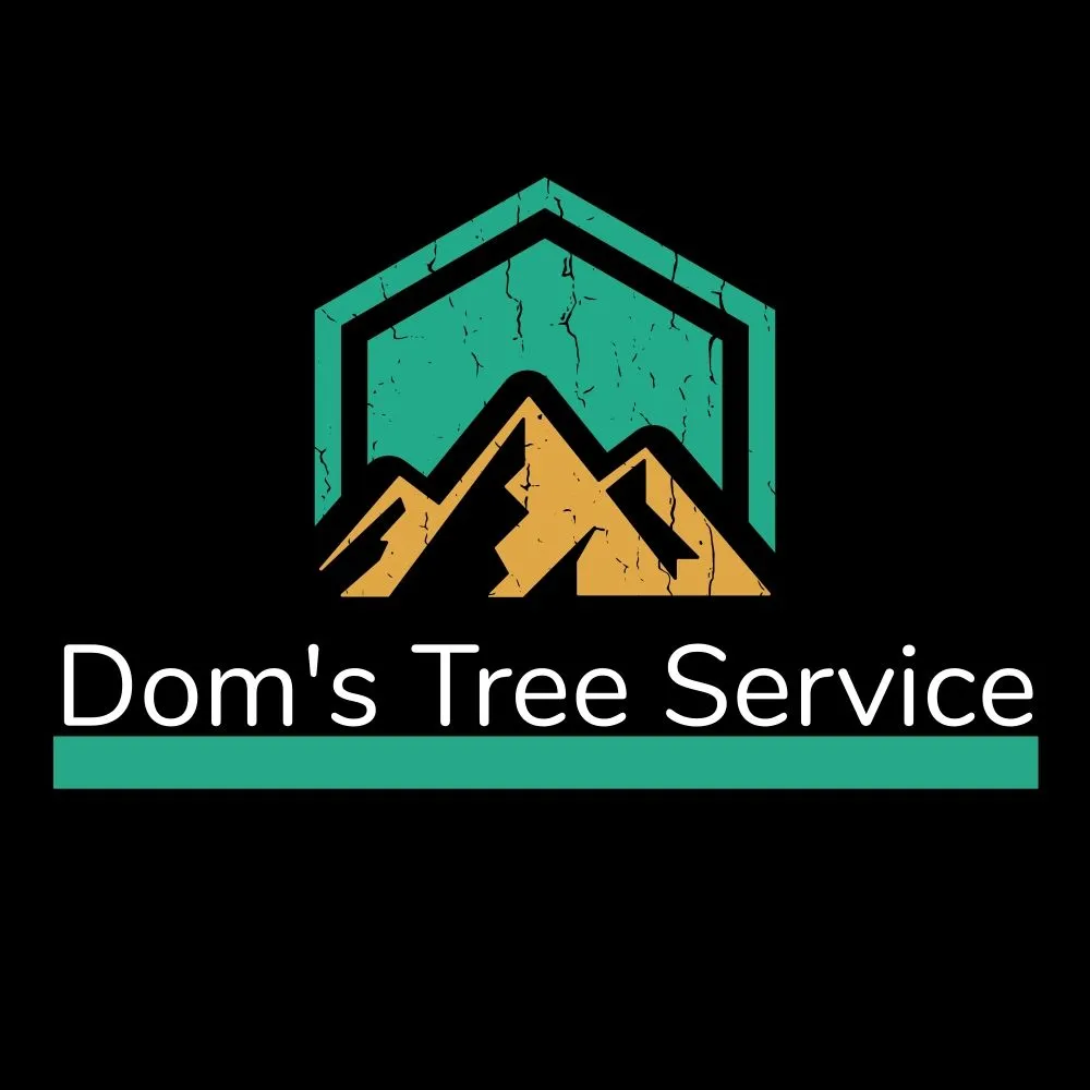 Reliable residential landscaping for outdoor upgrades across Buckhannon, WV - Dom's Tree Service