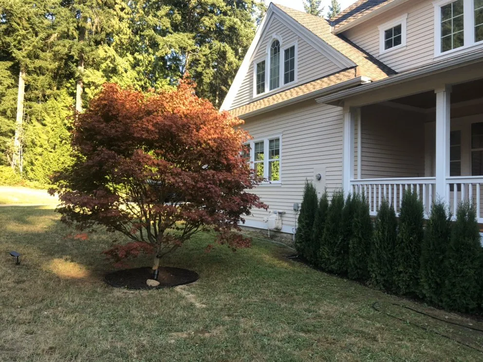 Affordable landscape design in Kenmore, WA by Domum Home Services