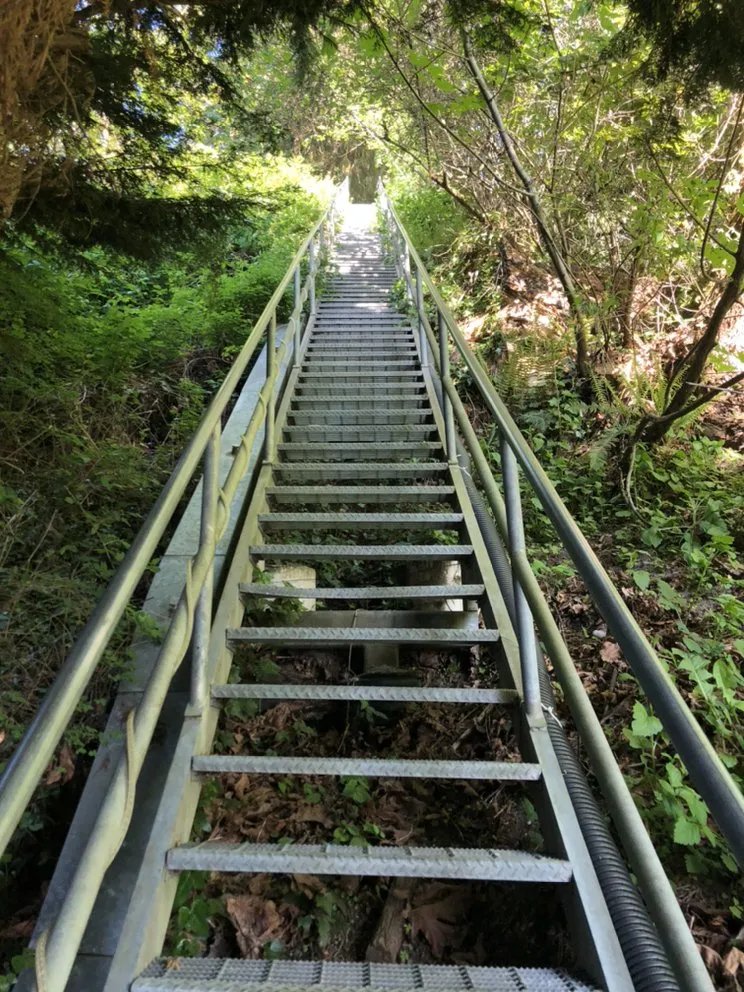 Top-rated outdoor landscaping near you in Kenmore, WA by Domum Home Services