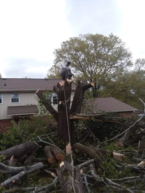 Trusted landscape installation in Chattanooga, TN - Don Cele Landscaping