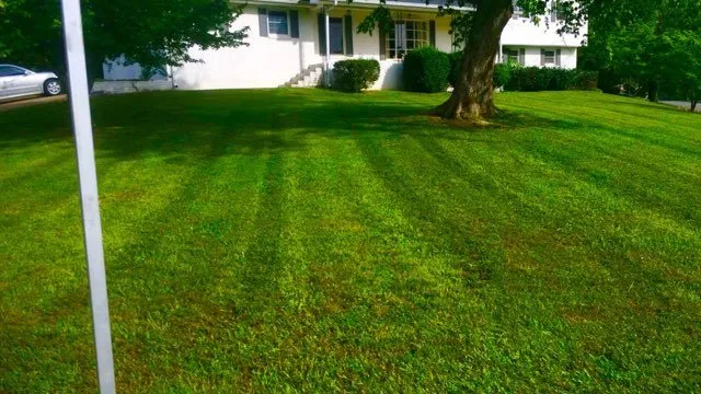 Professional landscape installation experts serving Chattanooga, TN - Don Cele Landscaping