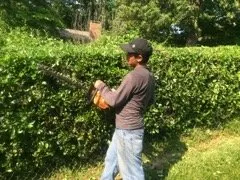 Professional lawn mowing service in Chattanooga, TN - Don Cele Landscaping