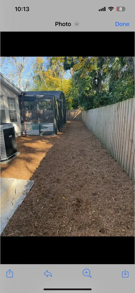 Affordable landscape design experts serving Tampa, FL - Don Chulos Landscaping