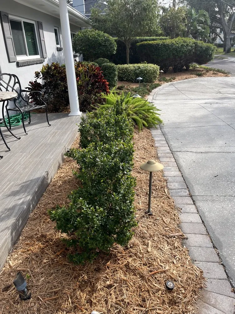 Local lawn care service in Tampa, FL by Don Chulos Landscaping